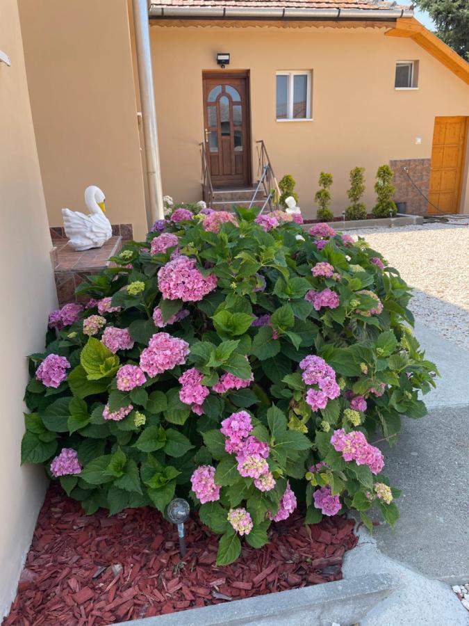Toerpi Apartman Halmaj Екстер'єр фото